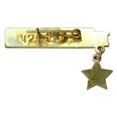 Значок Севастополь (вид 2)