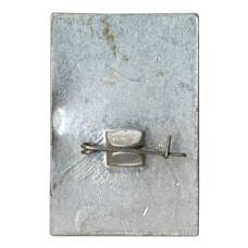 Значок Государственный ансамбль песни и танца «Калмыцкий тюльпан» (вид 2)