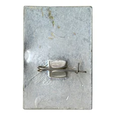 Значок Государственный ансамбль песни и танца «Калмыцкий тюльпан» (вид 2)