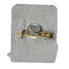 Значок Брест (вид 2)