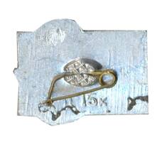 Значок Леся Украинка (вид 2)