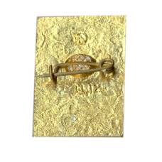 Значок София Киевская (вид 2)