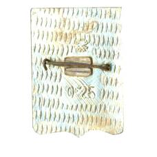 Значок Джанкой (вид 2)