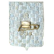 Значок Саратов (вид 2)