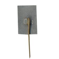 Значок Енисей (вид 2)