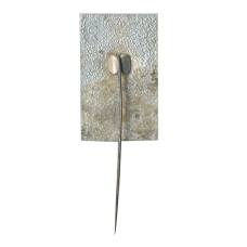 Значок Павловск (вид 2)