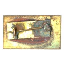 Значок USHA (вид 2)