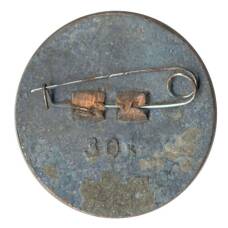 Значок Dzintari (вид 2)