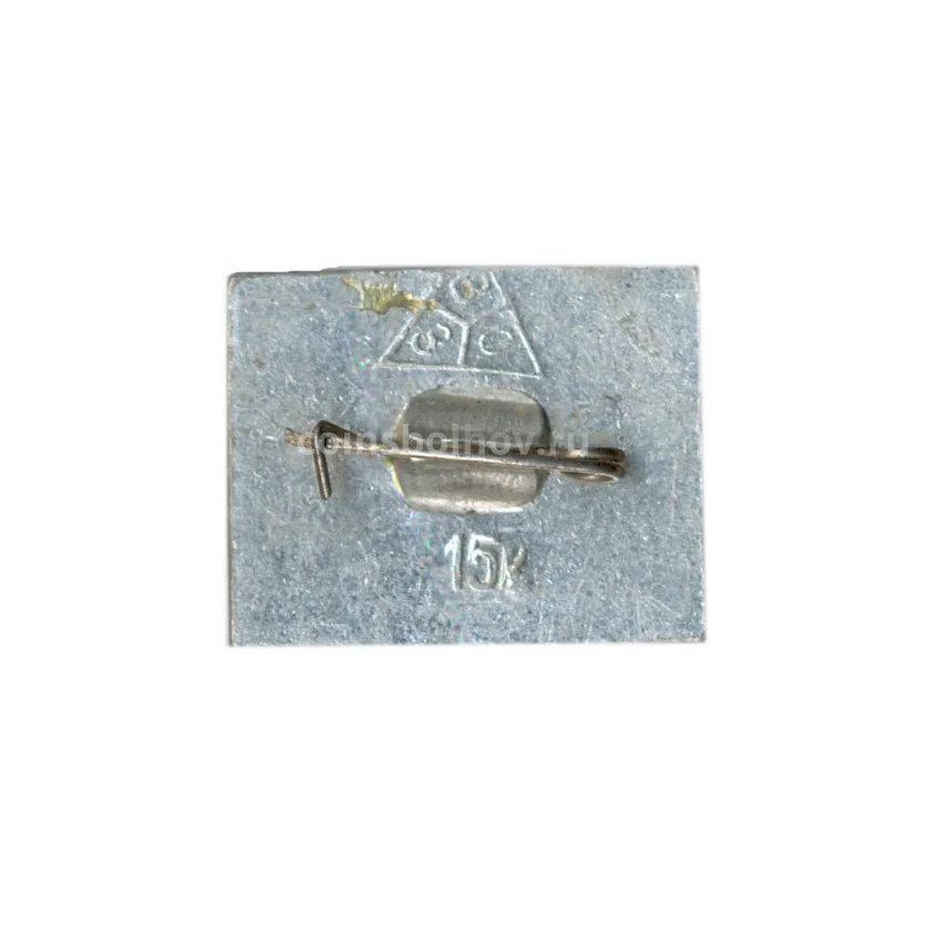 Значок Владимир (вид 2)