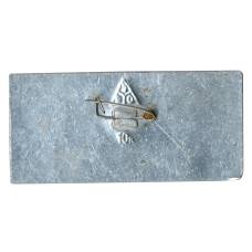 Значок Владимир (вид 2)