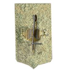 Значок Пенза (вид 2)