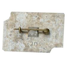 Значок Калуга (вид 2)