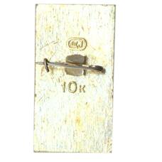 Значок Звенигород (вид 2)