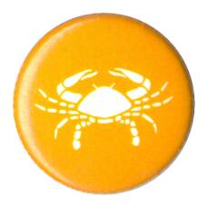 Значок Знаки зодиака — Скорпион