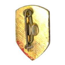 Значок Брест (вид 2)