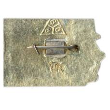 Значок Владимир (вид 2)