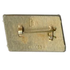 Значок Петродворец (вид 2)