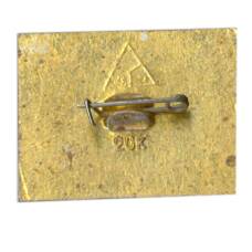 Значок Владимир (вид 2)