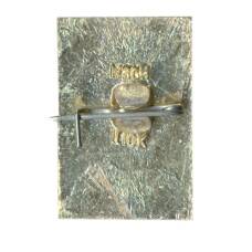 Значок Владимир (вид 2)