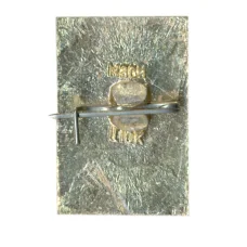 Значок Владимир (вид 2)