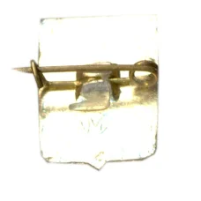 Значок Александров (вид 2)