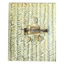 Значок Горький (вид 2)