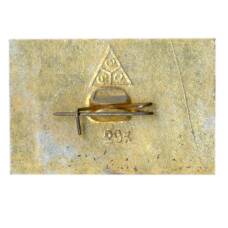 Значок Владимир (вид 2)