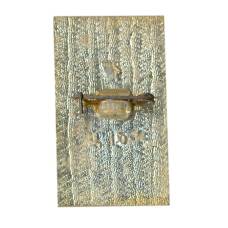 Значок Горький (вид 2)