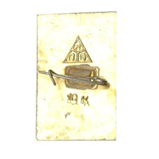 Значок Боголюбово (вид 2)