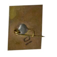 Значок Железноводск (вид 2)