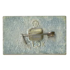 Значок Ясная Поляна (вид 2)