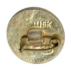 Значок Волгоград (вид 2)