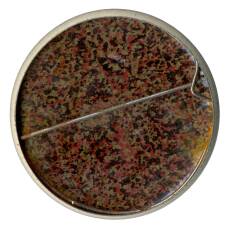 Значок Союзбытхим-Автокосметика (вид 2)