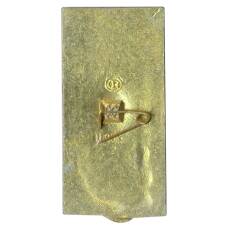 Значок Киев (вид 2)