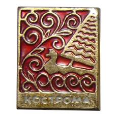 Значок Кострома