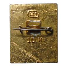 Значок Кострома (вид 2)