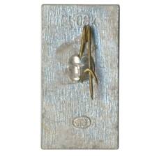 Значок Ленинград (вид 2)