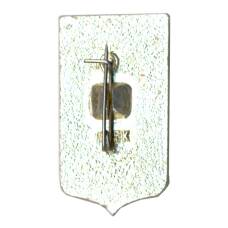 Значок Пенза (вид 2)