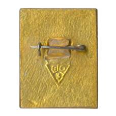 Значок Владимир (вид 2)