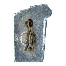 Значок Волгоград (вид 2)