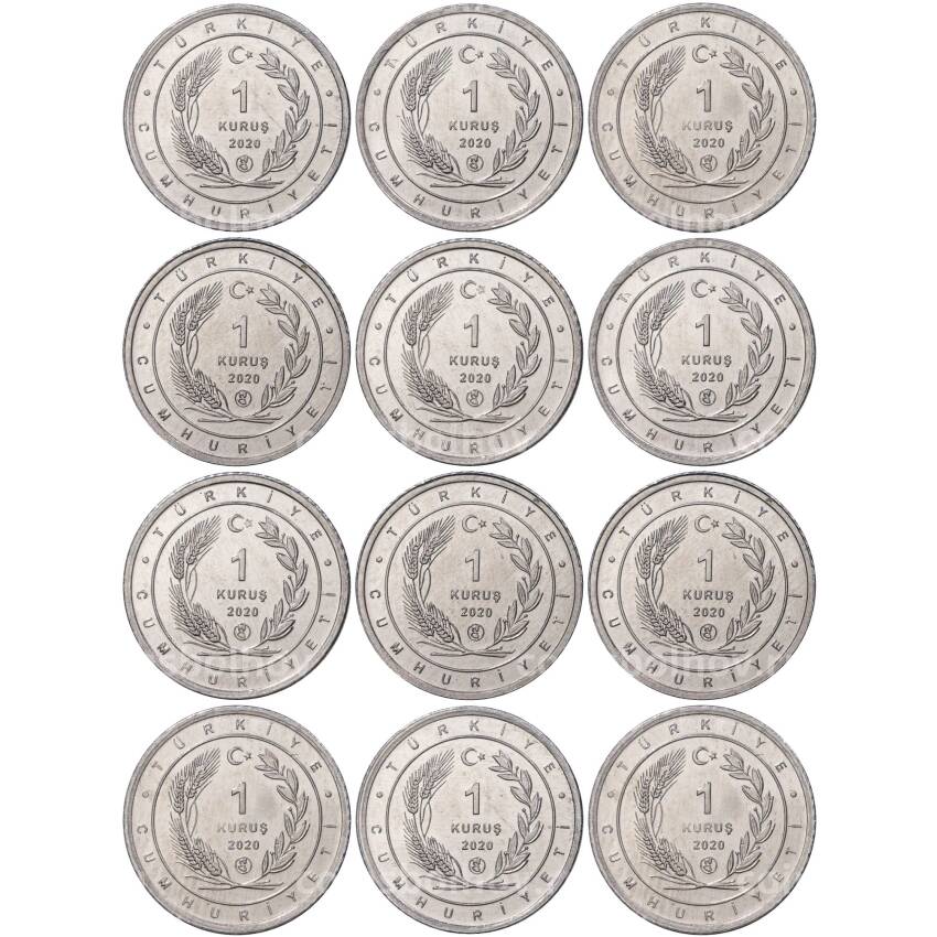 Набор из 12 монет 1 куруш 2020 года Турция — Птицы Анатолии (вид 2)