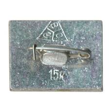 Значок Владимир (вид 2)