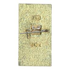 Значок Звенигород (вид 2)