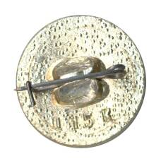 Значок Иркутск (вид 2)