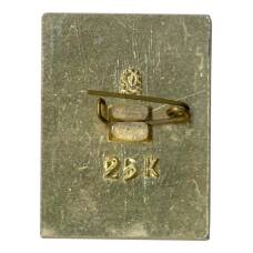 Значок Кола (вид 2)