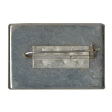 Значок Трускавец (вид 2)