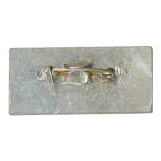 Значок Белинский (вид 2)