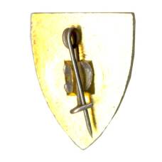 Значок Сочи (вид 2)