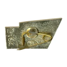 Значок Музей «Шалаш Ленина» у озера «Разлив» (вид 2)