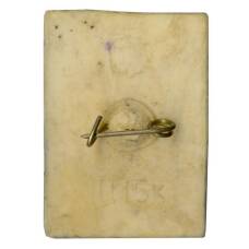 Значок Хромоножка-уточка (реверс)